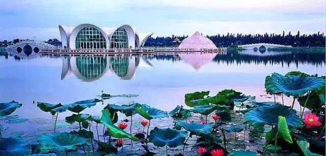 三水芦苞温泉度假村有什么泉,三水芦苞温泉与高明美的鹭湖温泉