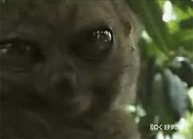 不喂奶就不会分泌奶水吗,不喂奶就是不爱宝宝