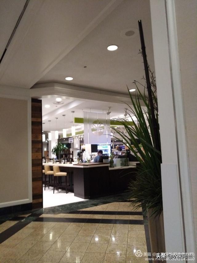 国际出行攻略,新西兰旅游攻略租车