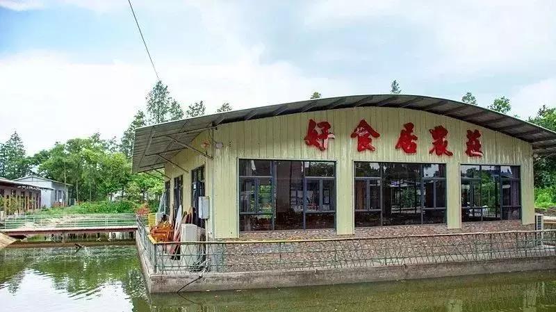 顺德适合10-15人聚会的餐厅,顺德聚餐推荐餐厅10人以上