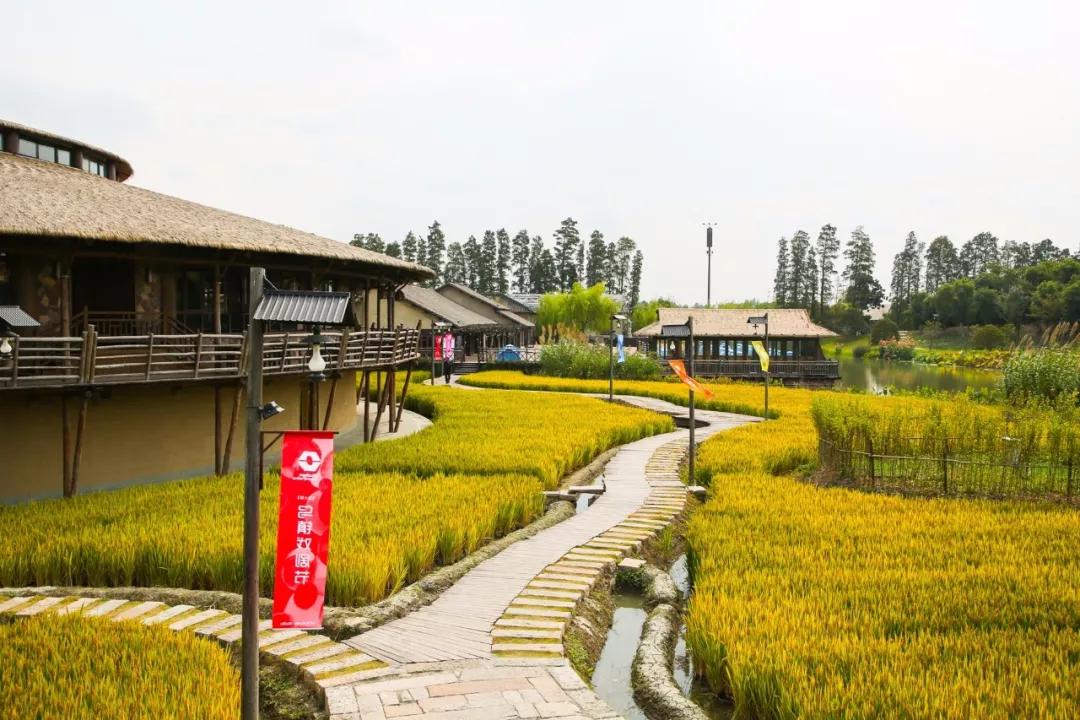 乌村田园度假,体验式度假式乡村旅游