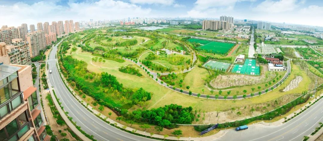 上海市宝山区为杨行镇筹划未来，工业区、城中村是弱点也是潜力