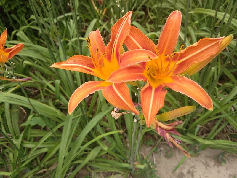 7080后的恋爱故事,70后谈恋爱历史