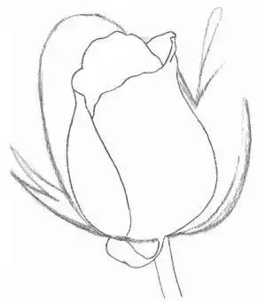 鐜懓绱犳弿鏁欑▼,绱犳弿鐜懓鐢绘硶鏁欑▼