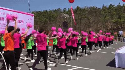 一起去旅顺赏樱花,旅顺樱花节美景