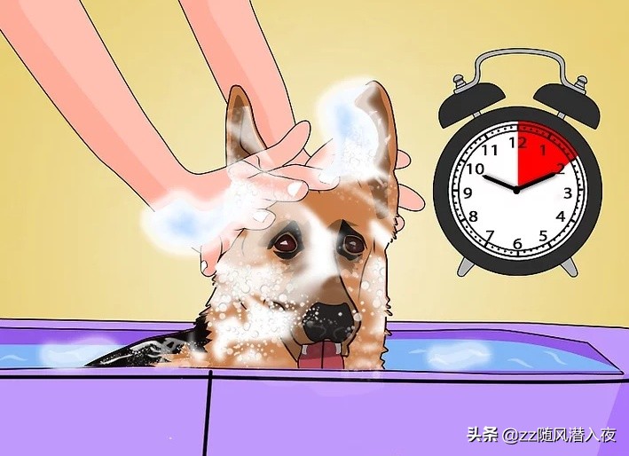 如何用洗洁精消灭跳蚤,如何用洗洁精去油