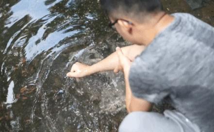 成都耍水露营避暑的景点推荐,热得冒烟的天气