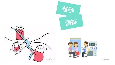 备孕检测清单详细解说视频,备孕指标详细对照表