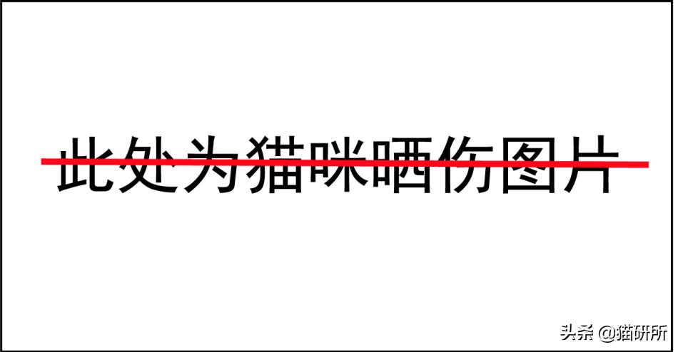 猫咪夏季好物推荐平价,猫咪防抓好物推荐