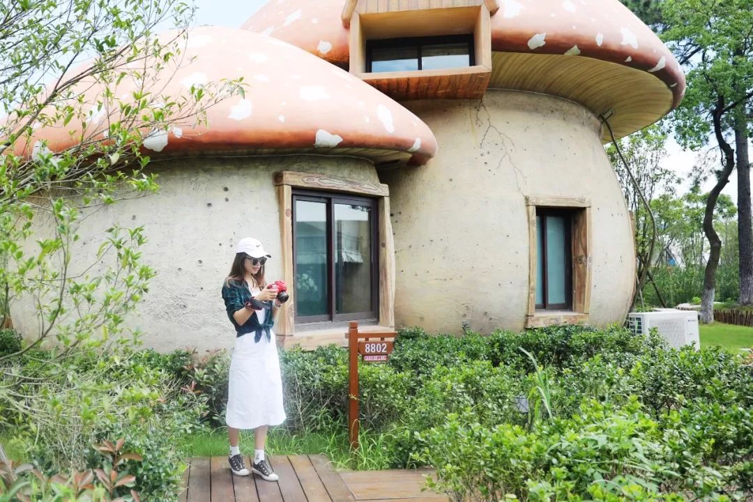 房车露营旅行推荐,自驾出游露营野炊房车营地