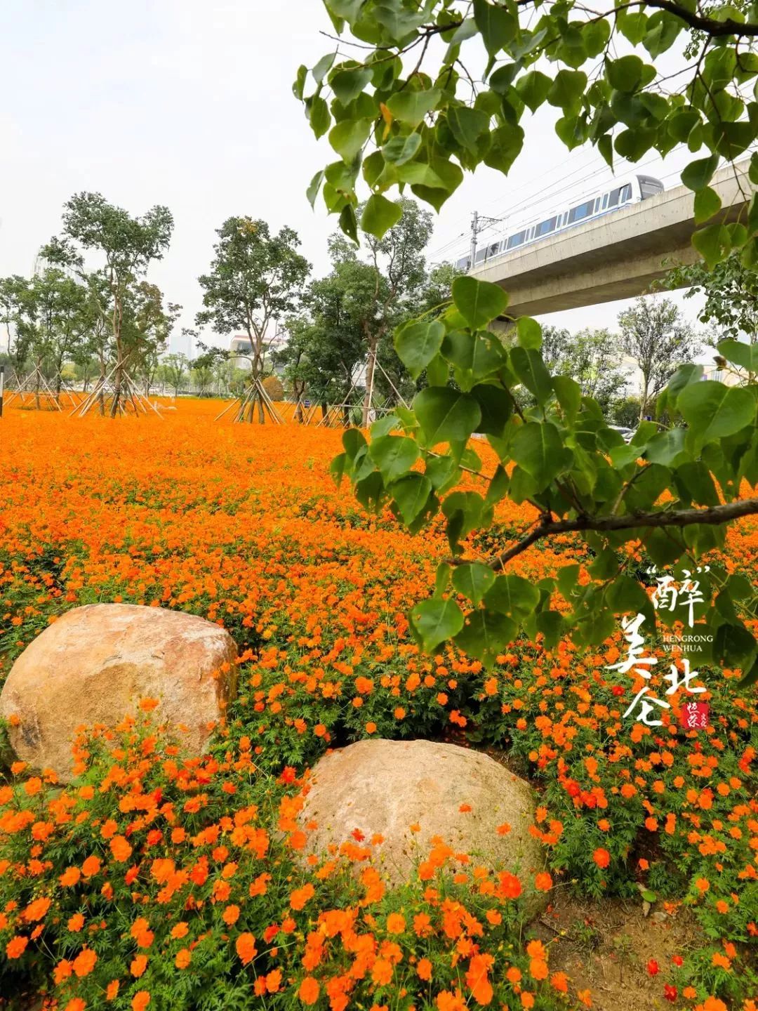 家在北仑,我有一个家北仑