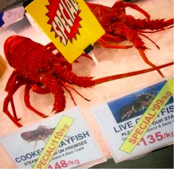 中国人不出门全世界会怎样,中国去哪的机票便宜