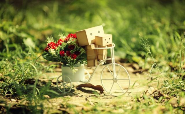 又酸又甜的暗恋文推荐,3本暗恋文推荐酸涩而又美好