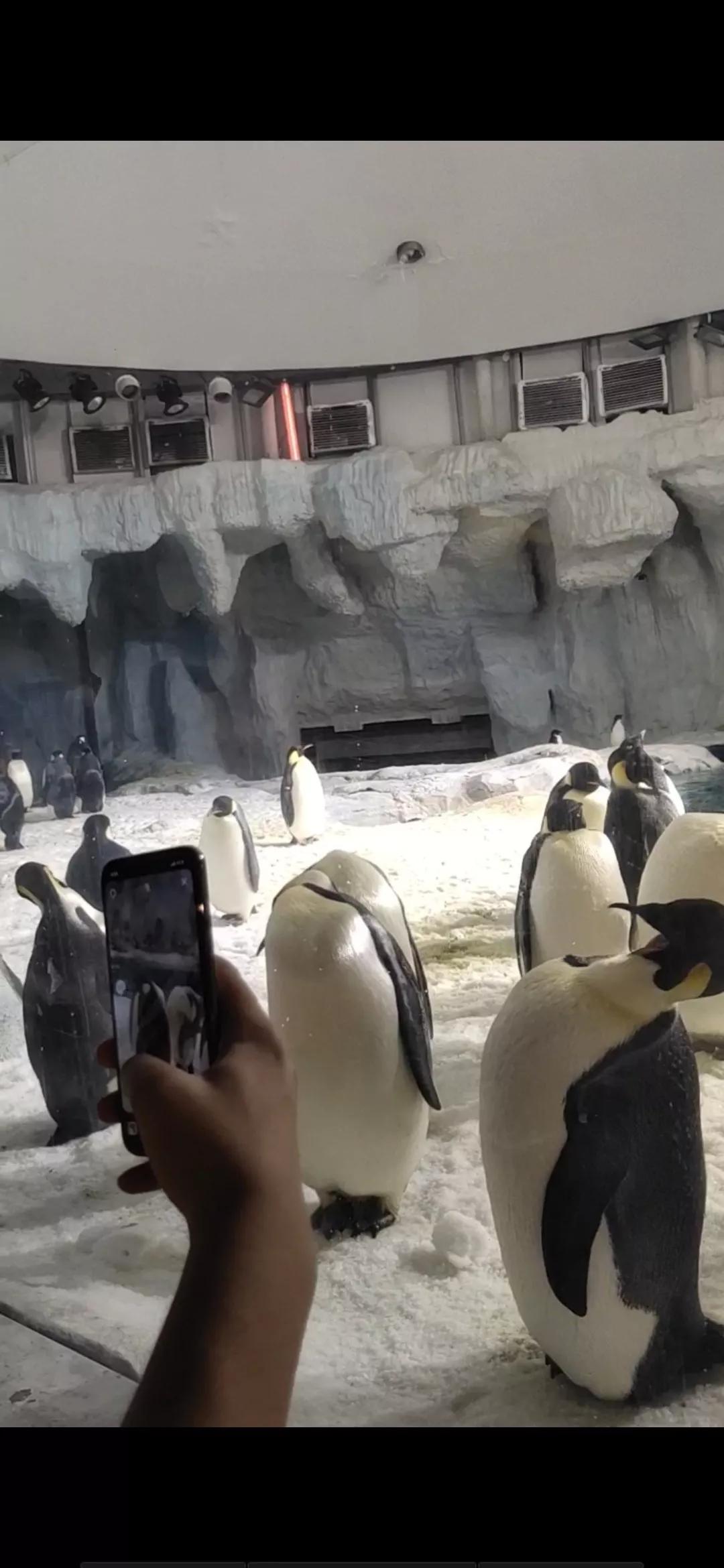 珠海长隆海洋王国一天路线图,珠海长隆海洋王国一日游详细攻略