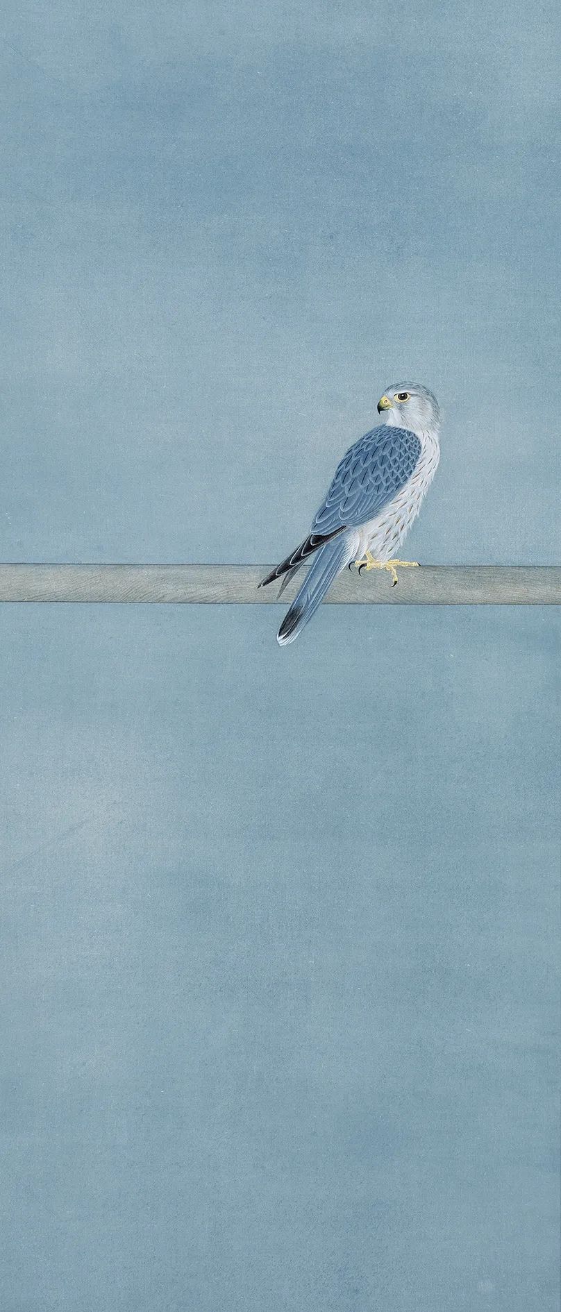 他画的鹰，严谨工致，萧疏威严