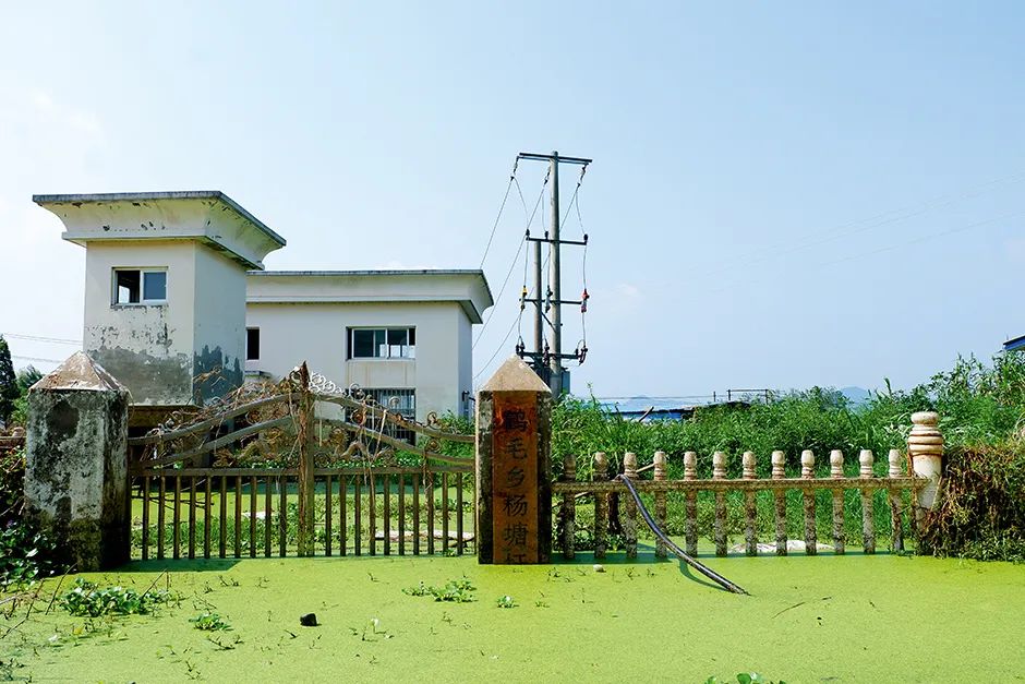 2021年多地受灾粮食会紧缺吗,8500万亩小麦绝收