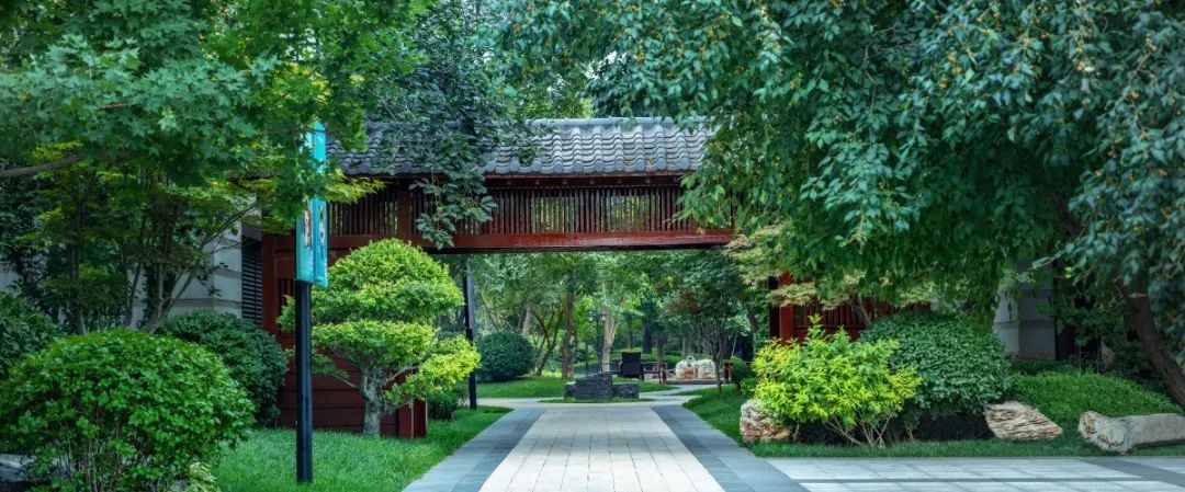 以初心鉴真心丨我家配套800亩森林运动公园，是怎样一种体验？