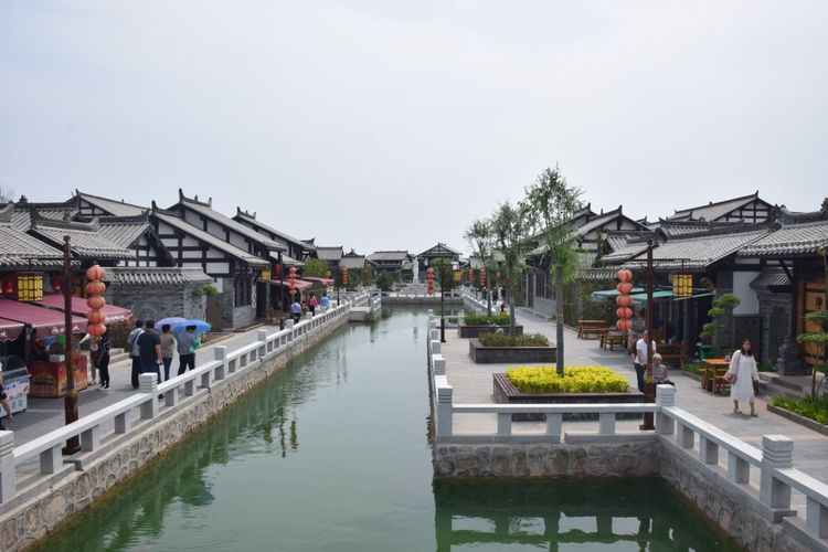 冬天来合阳,赏万顷芦荡,候鸟齐飞(组图)