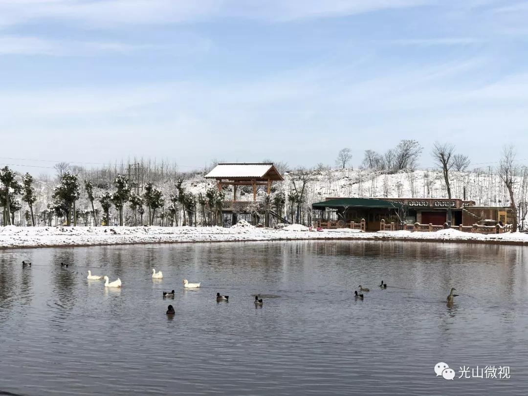 替你“打卡”！疫情中的光山雪景