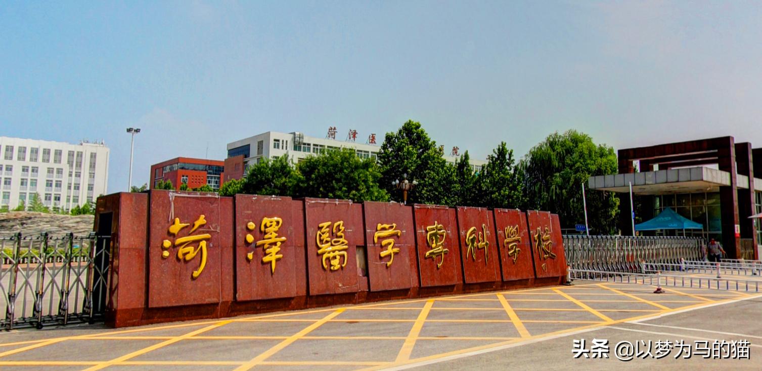 8所院校覆盖上百专业,8所中西医大学