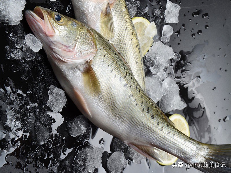 怎么区别海鲈鱼和淡水鲈鱼,买鲈鱼公的好吃还是母的好吃
