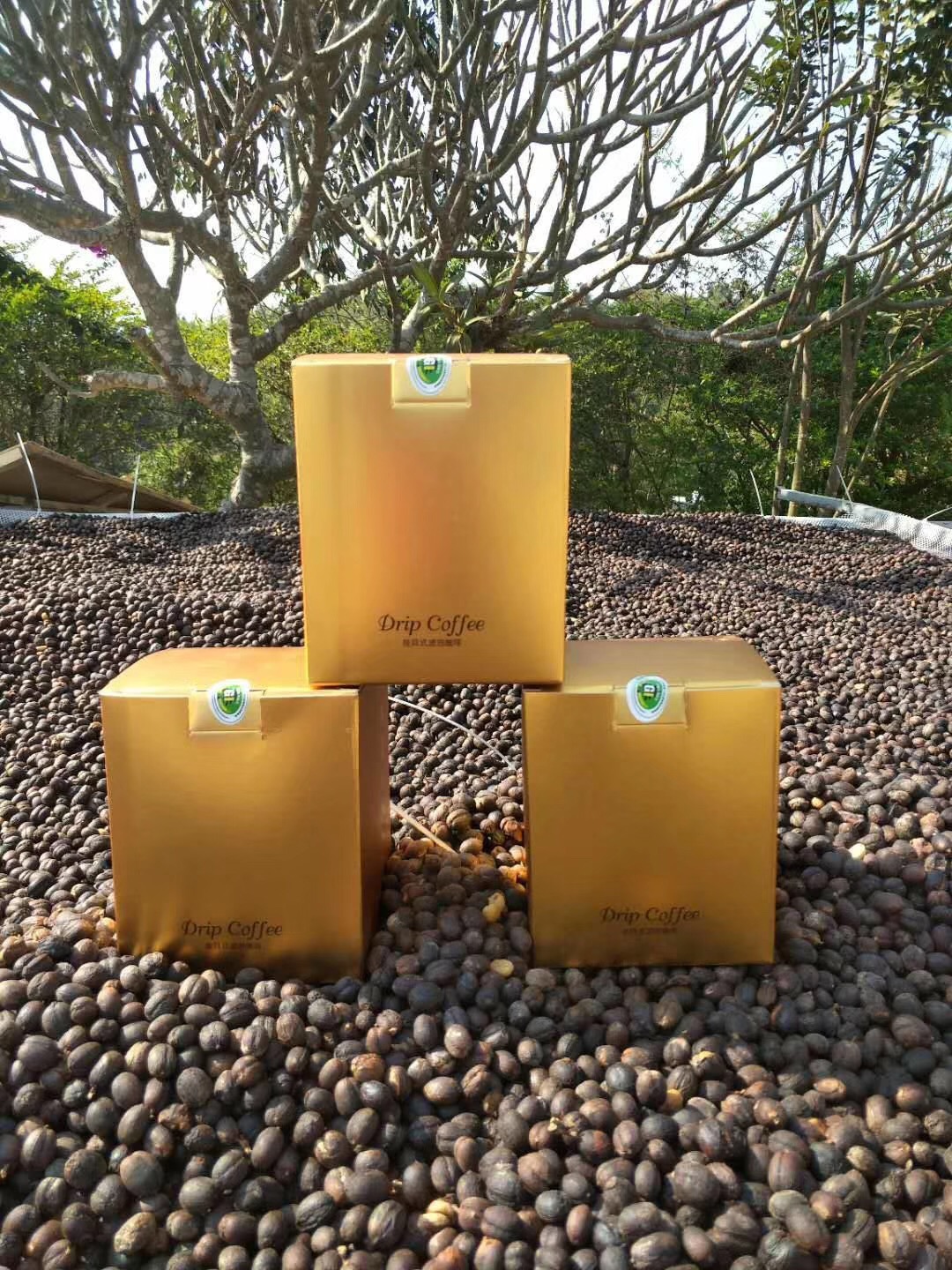 如何辨认好咖啡,如何判断一杯咖啡是好咖啡