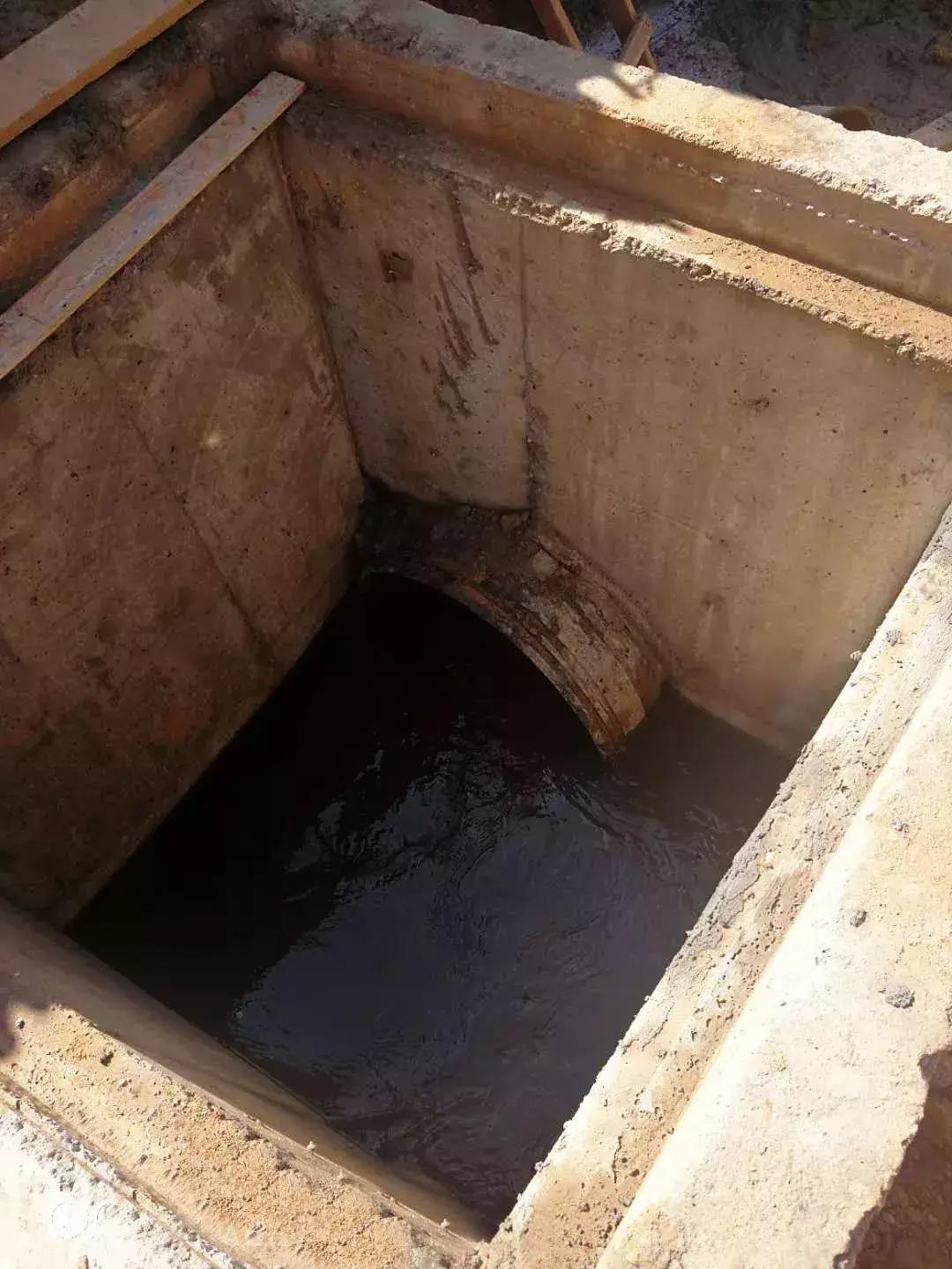 光明这些河流又有新变化,多个好消息密集来报~