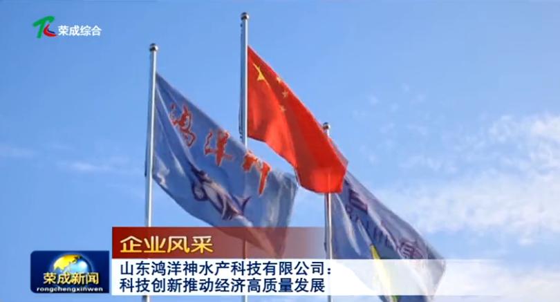 鸿洋神水产科技,威海荣成鸿洋神水产有限公司