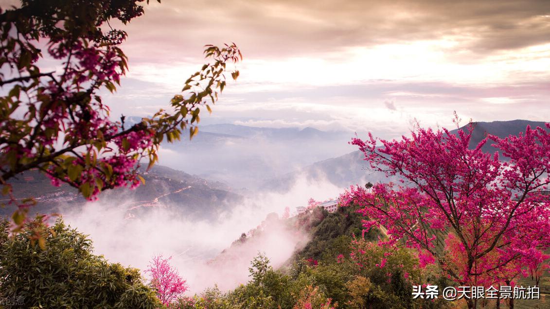 旅游必备东西清单,旅游必带物品清单简单