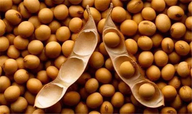 种植黄豆成本和利润,种一亩大豆成本明细