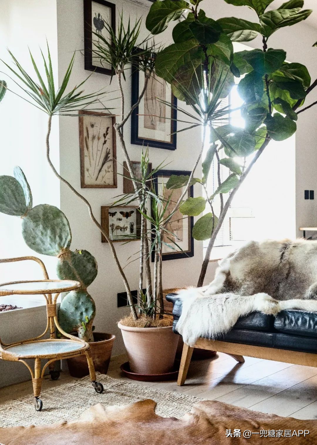 黑色直纹橱柜装修效果图,入门玄关橱柜效果图