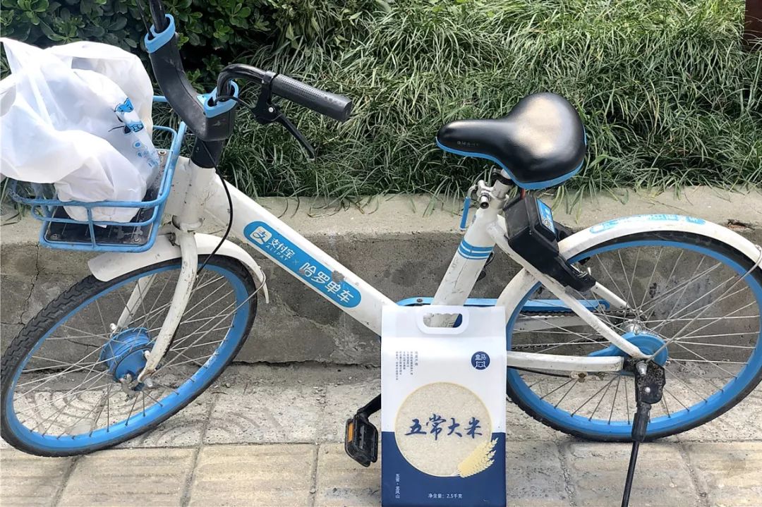 在家不出门卖菜的app,线上卖菜app哪个最好用