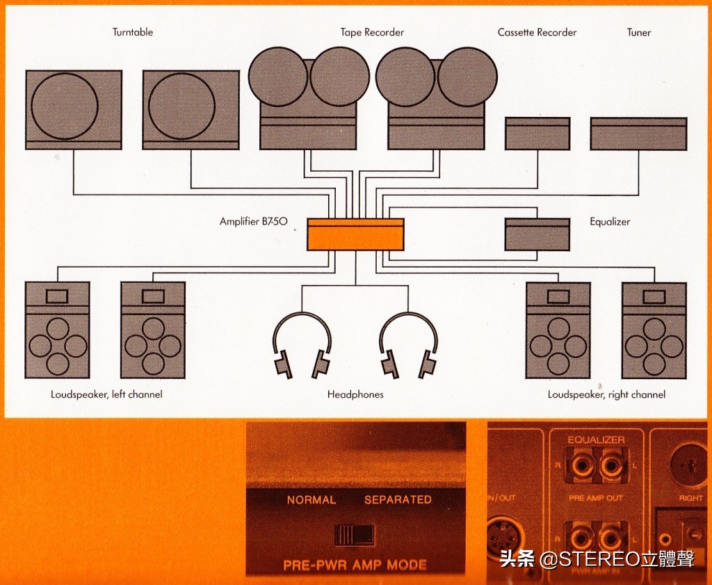 古董档案金铲铲,古董档案电视剧