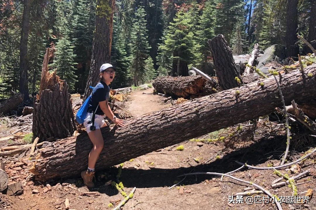 优胜美地国家公园十大景观,优胜美地风景