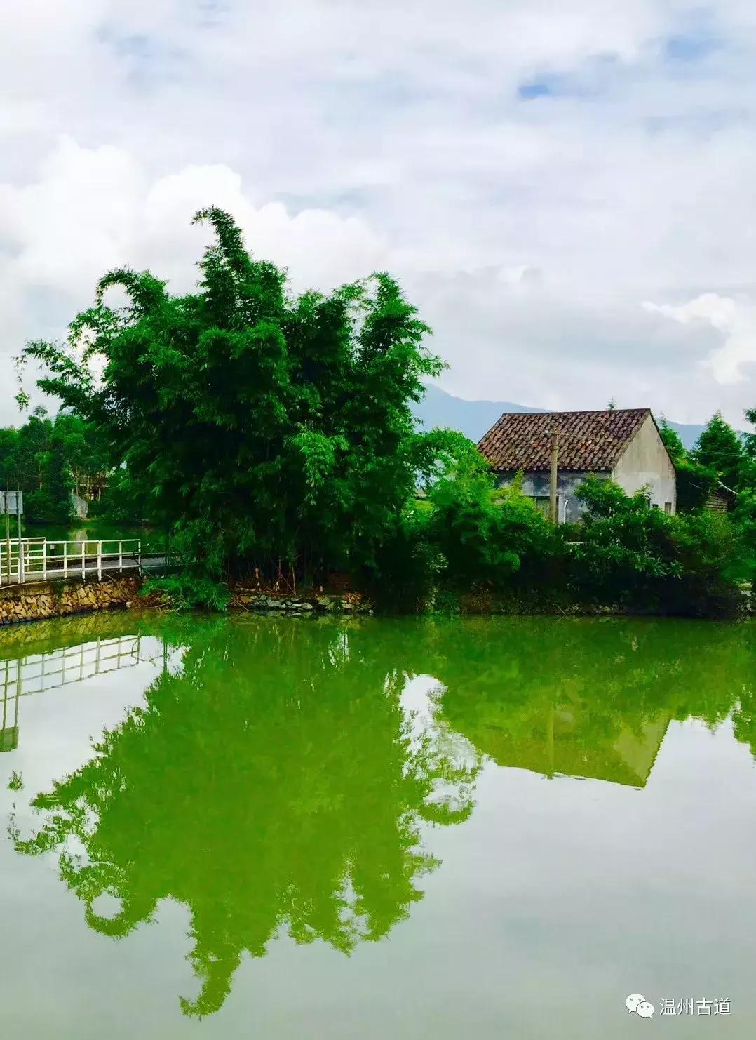 平阳鸣山古村落图片,千年古村平阳县鸣山村古城夜景