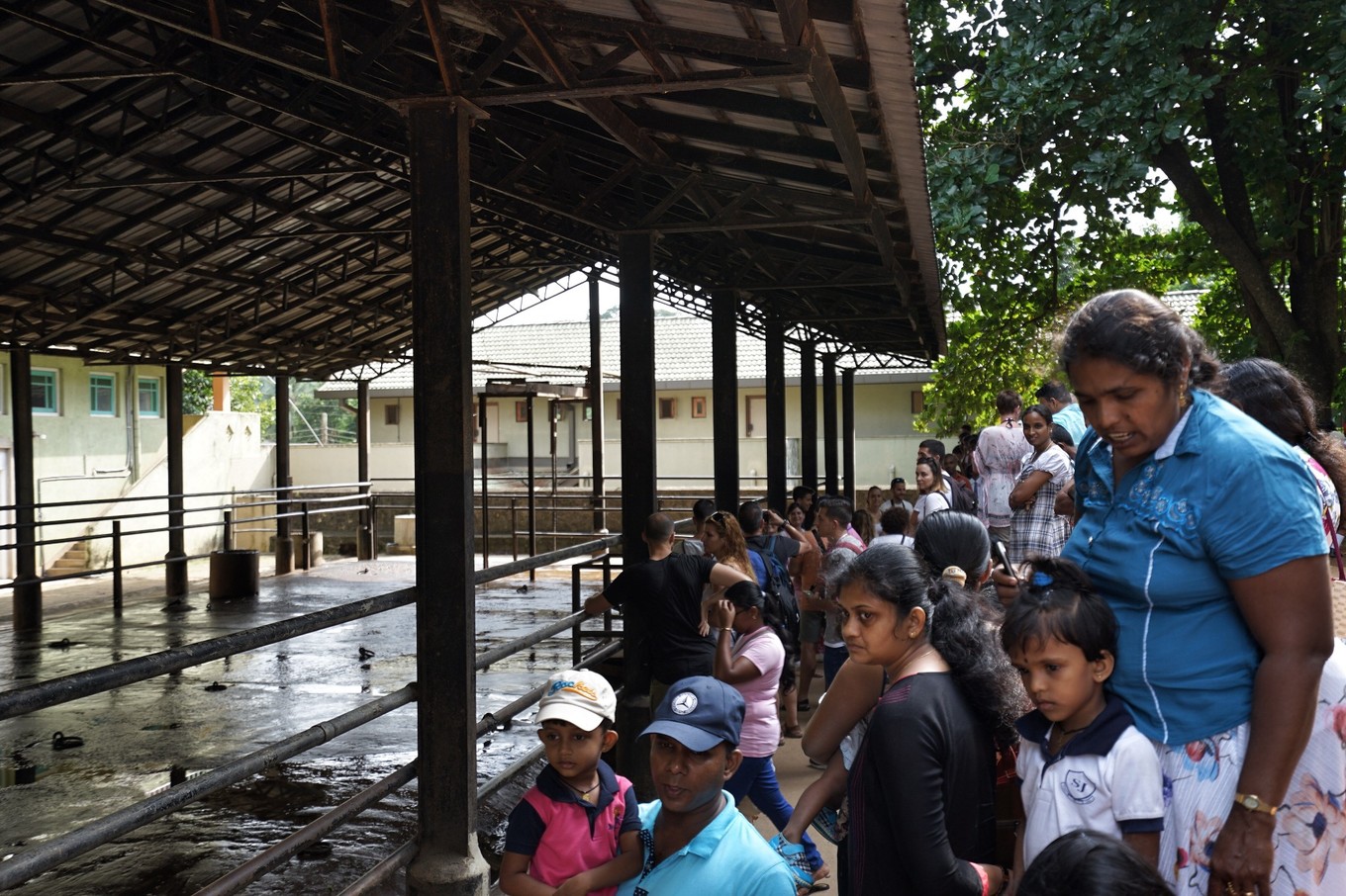 带着甜甜奶茶香的斯里兰卡小环岛之旅+两家安缦全体验