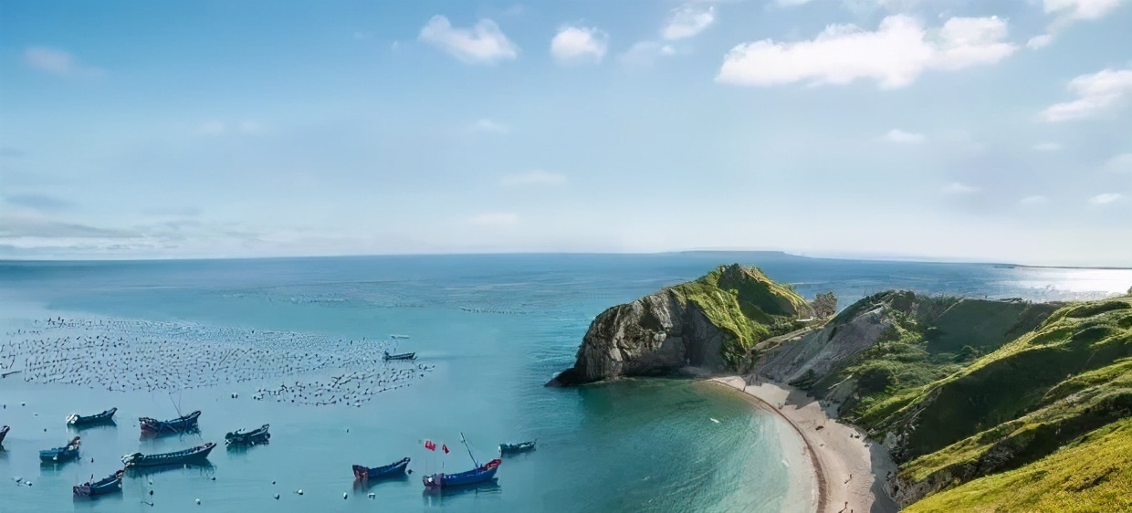 乳山生蚝科普,生蚝冷知识图片