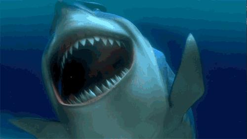 我国科学家首次在南海发现鲸落,南海首次发现鲸落代表什么