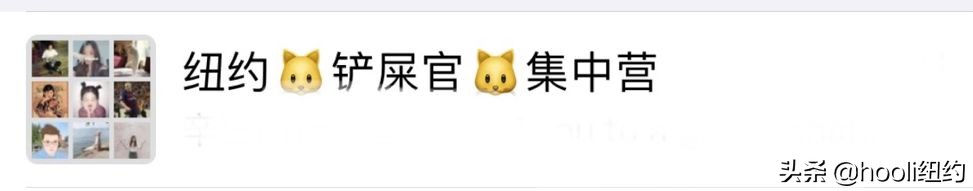 纽约最全群信息总揽｜指南在手，世界我有