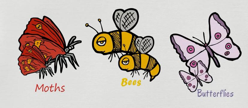 常见动物英语词汇大全,英语常见词汇大全表