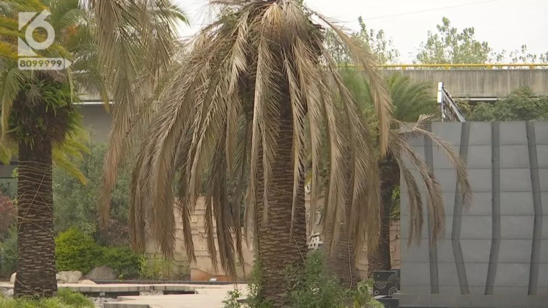 复活“西南海”希望究竟有多大？一个楼盘烂尾一群人的心酸，昆明又一知名房企破产