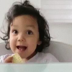 双十一买买买攻略,双十一买买买指南