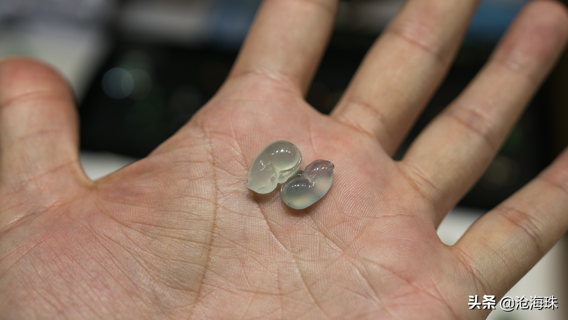 淘玉淘翡翠,带着老爸逛四会「0012期」