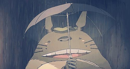 周末喵力四射！国际品猫汇，来吸猫！卢米埃影城18元看龙猫！