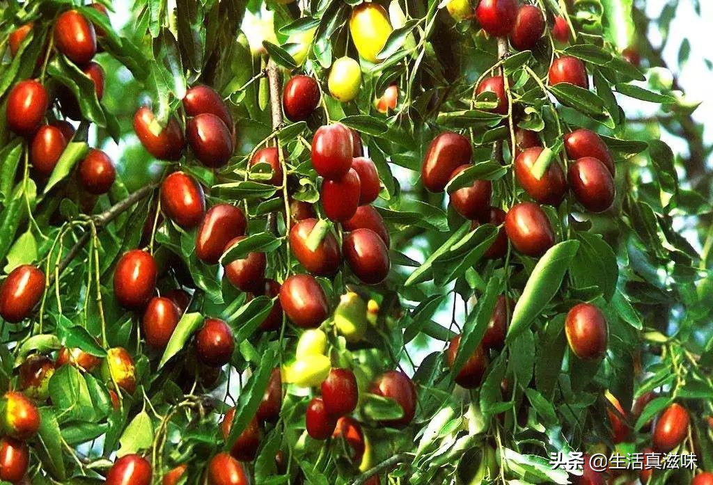 快过年了好想念家乡菜,快过年了想念家里的特产