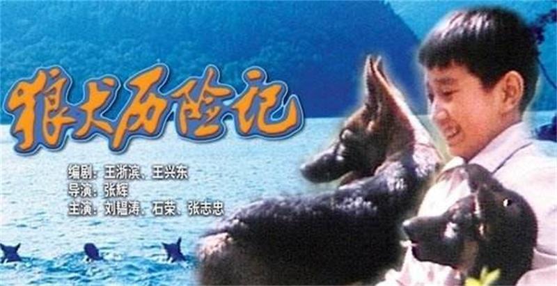 80年代电影狼牙公主,狼牙公主电影叫什么