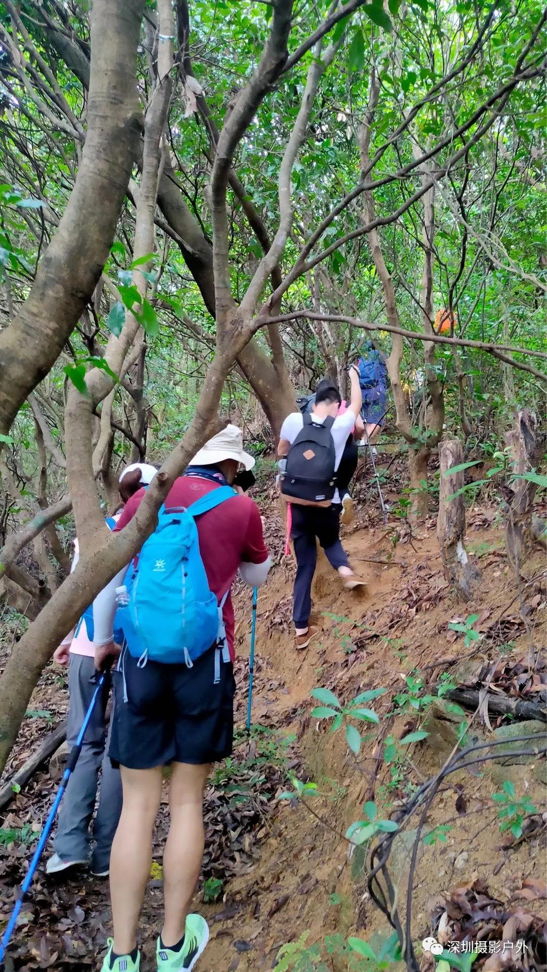 梅沙尖︱越梅沙尖→赏马峦瀑布