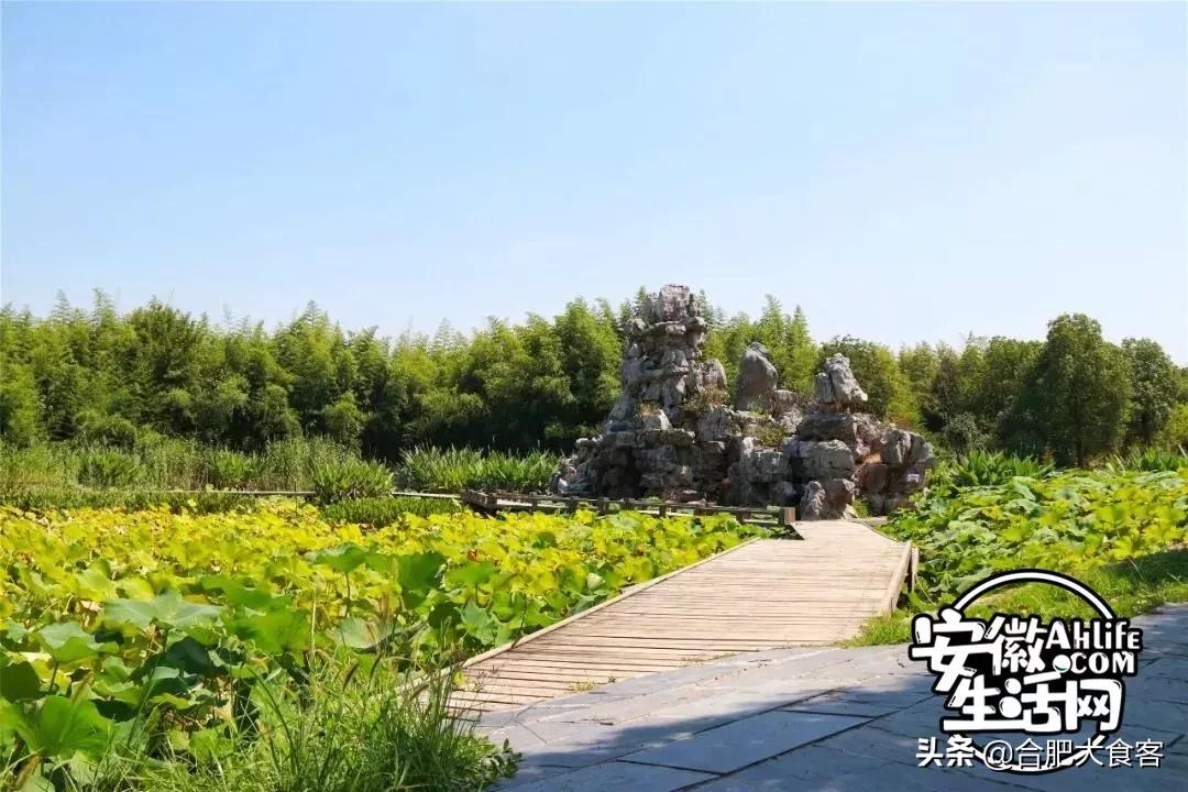 2020年，在这50个地方遇见不一样的合肥