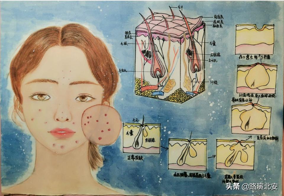 生命的故事绘本视频,生命的故事绘本绘画