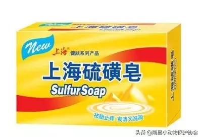 治疗狗皮肤病最见效的药,狗子皮肤病治愈全过程